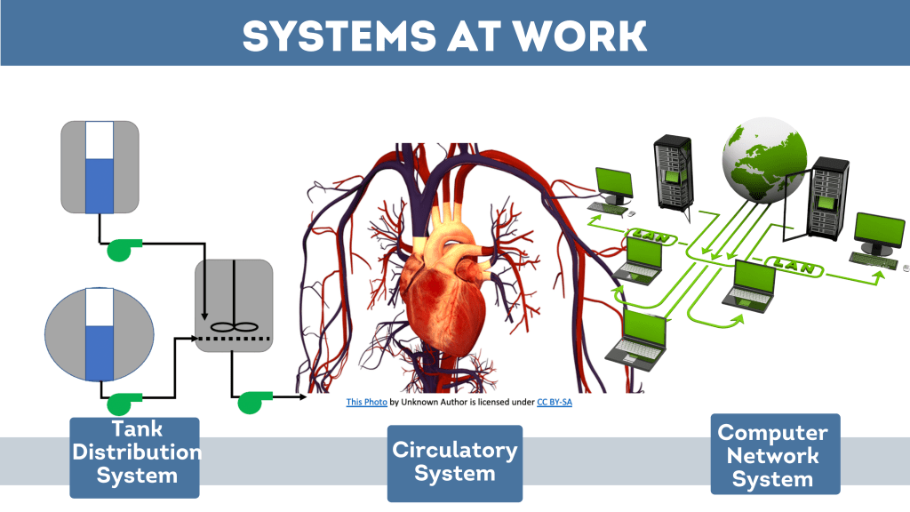 Systems at Work. A tank distribution system, the body's circulatory systems and a computer network system.